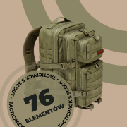 S_02_ELEMo.png